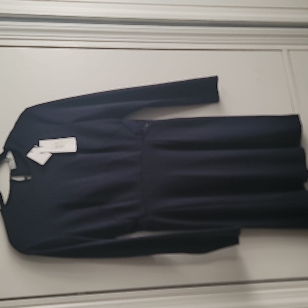 Navy dress with sheer black lace back.  Above knee length.  Size 3 in Sandro.
